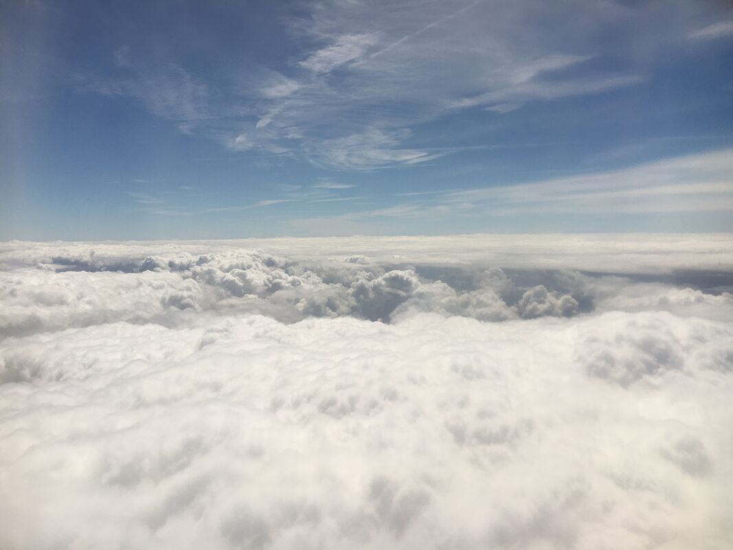 out of body out of mind