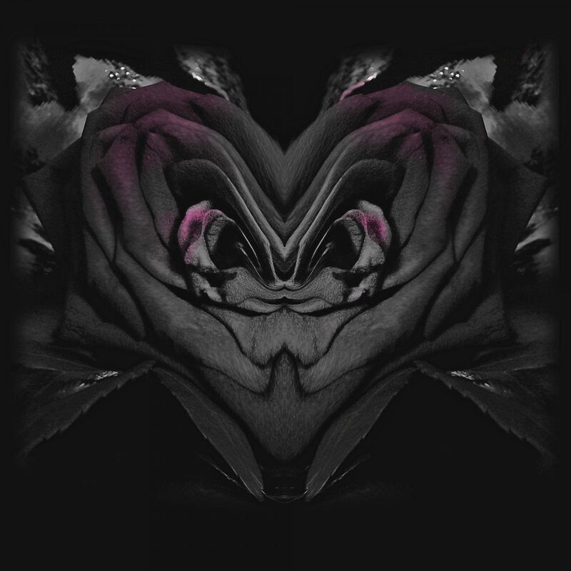 MELTING WALLS