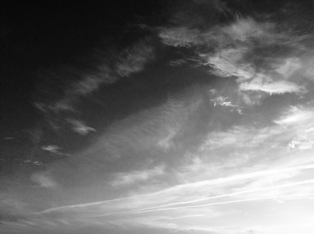 Insomniac 