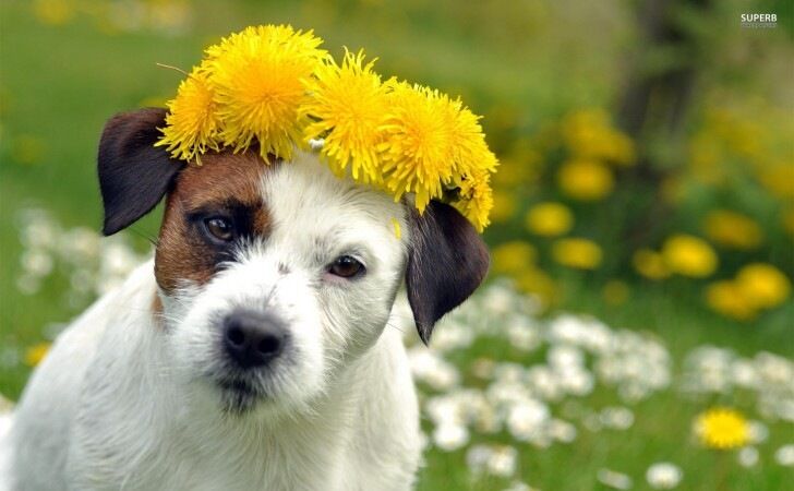 " She,s ...Well Taking The Piss !?"x