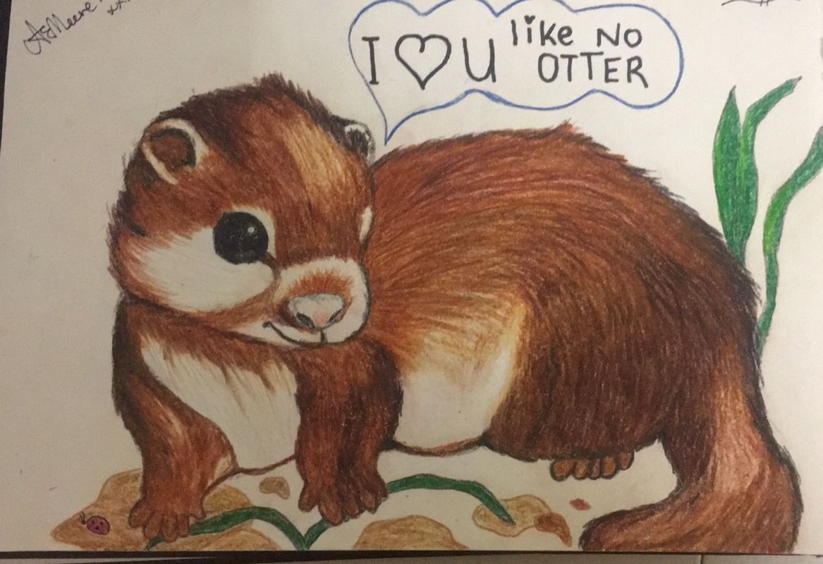 I love you like no otter