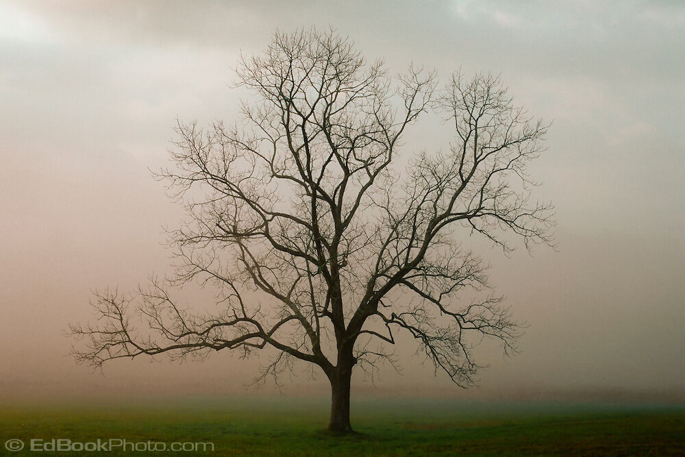 Generically Depressed