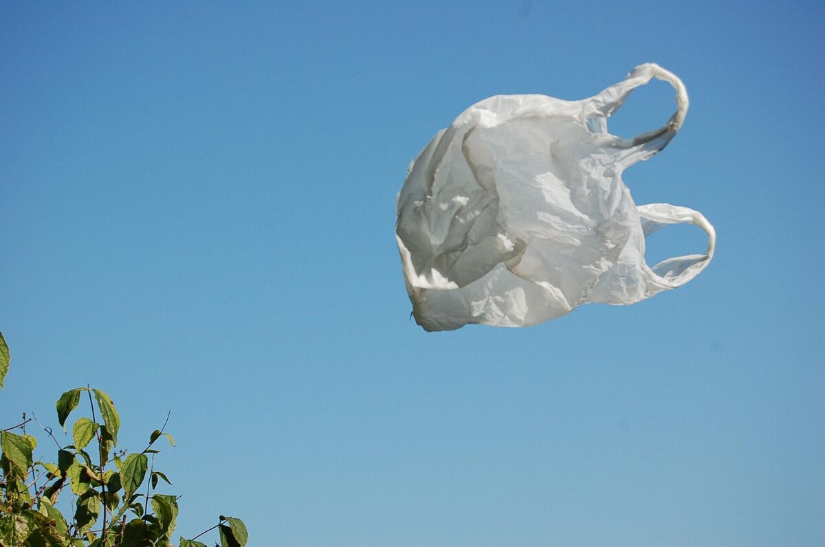 Plastic Bag