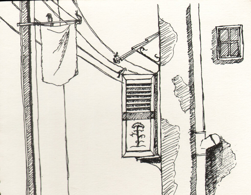 Evening Window