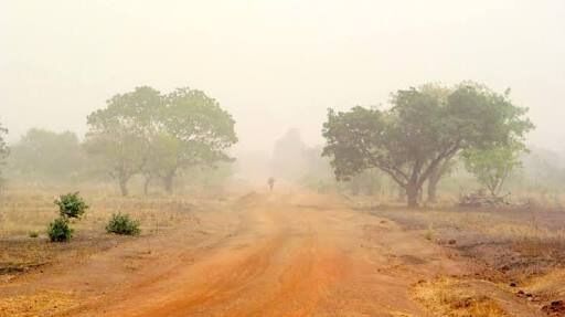 The Harmattan