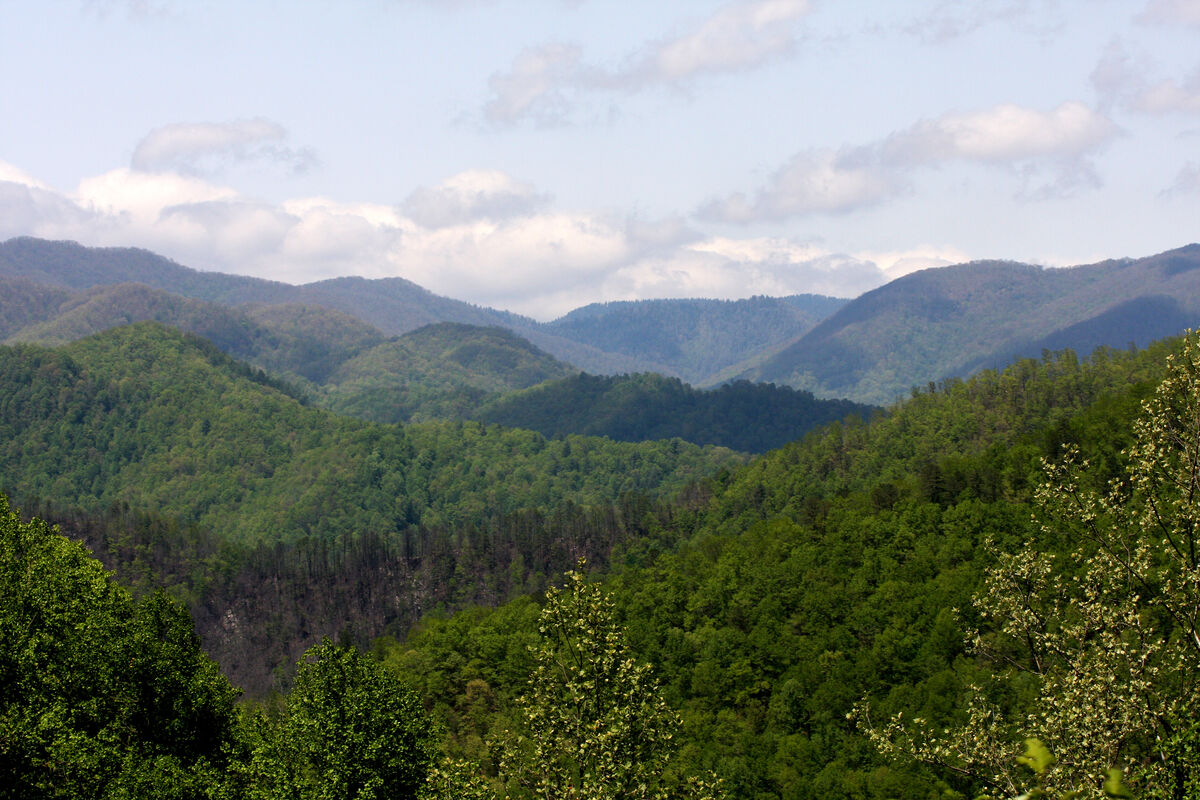 Blue Haze (for love of the Blue Ridge Parkway)