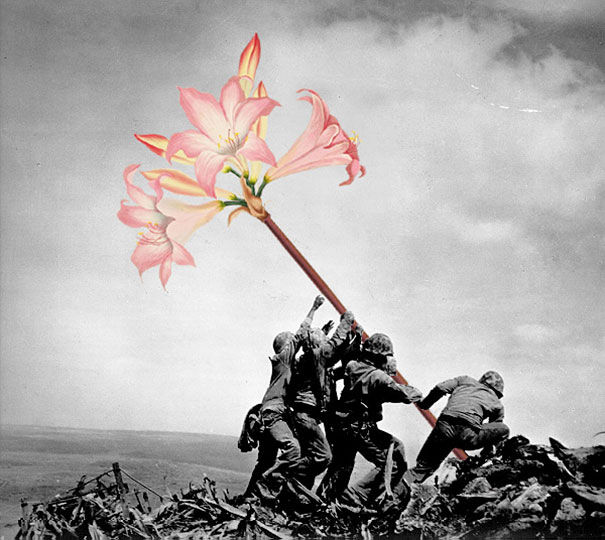 War Kills Flowers