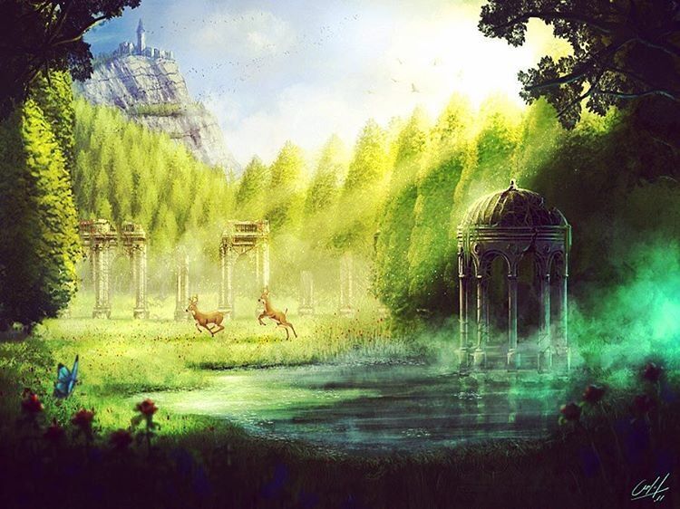The world, through your eyes