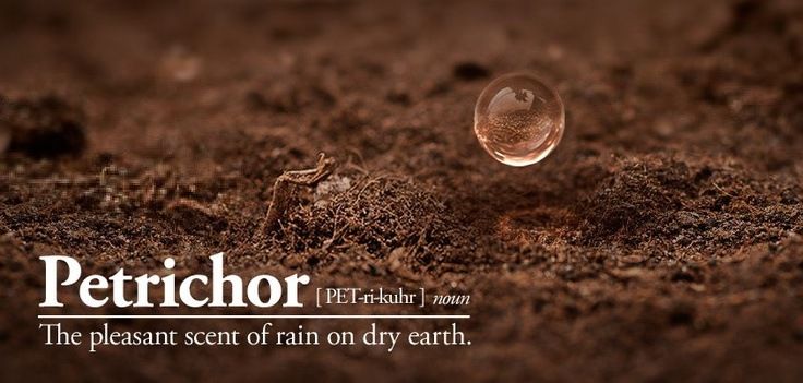 Petrichor Petrichor