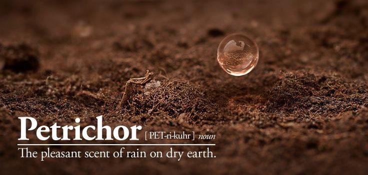 Petrichor 