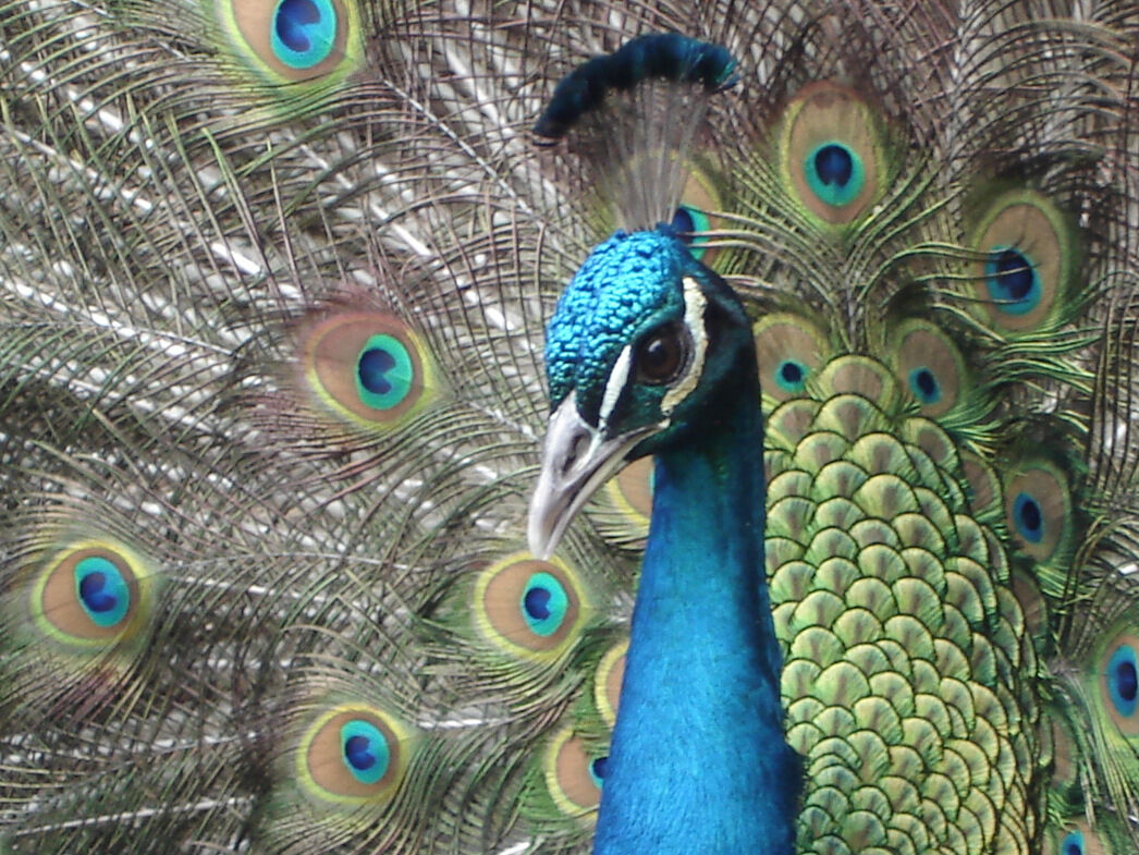 Just Around The Next Bend