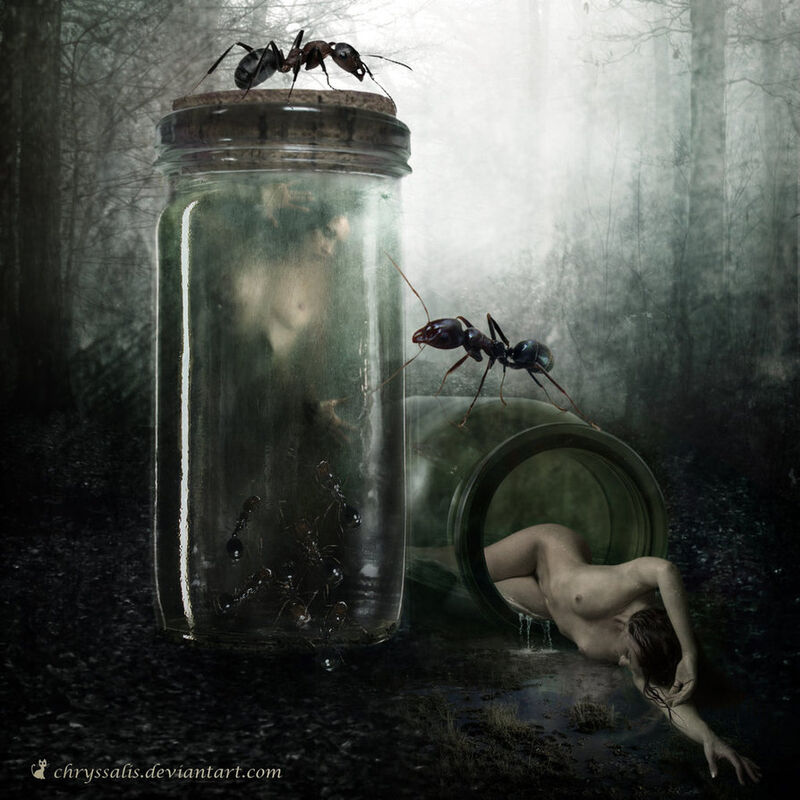 Preserve Me