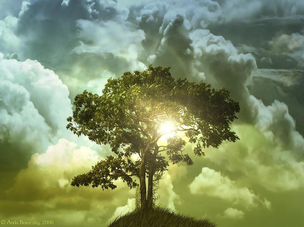 The Happiness Tree