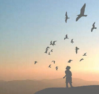 Freedom