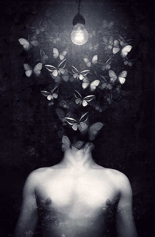 Butterflies In My Mind