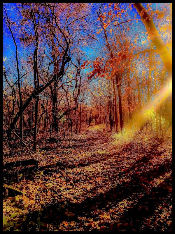 &quot;Trip&#039;n to Fall&quot; .1
