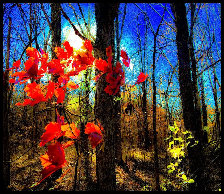 &quot;Trip&#039;n to Fall&quot; .2