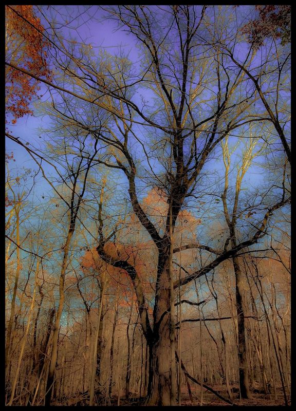 &quot;Trip&#039;n to Fall&quot; .3