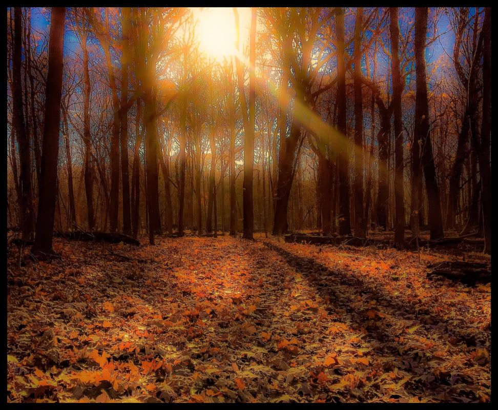 &quot;Trip&#039;n to Fall&quot; .4