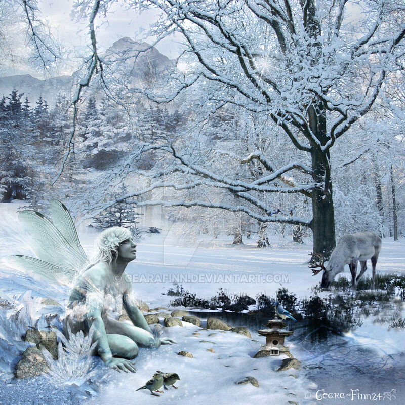 The Winters Nymph 