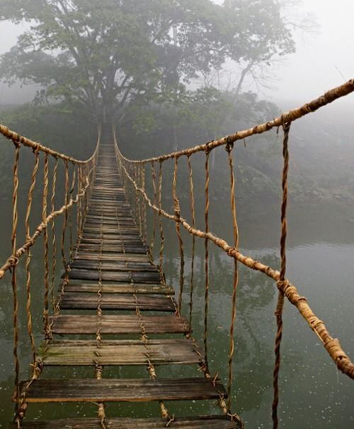 The Bridge