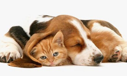 Friendships I Hold So Dear