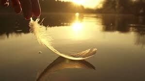 Freed