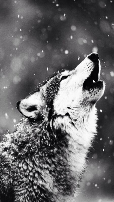 Take Control