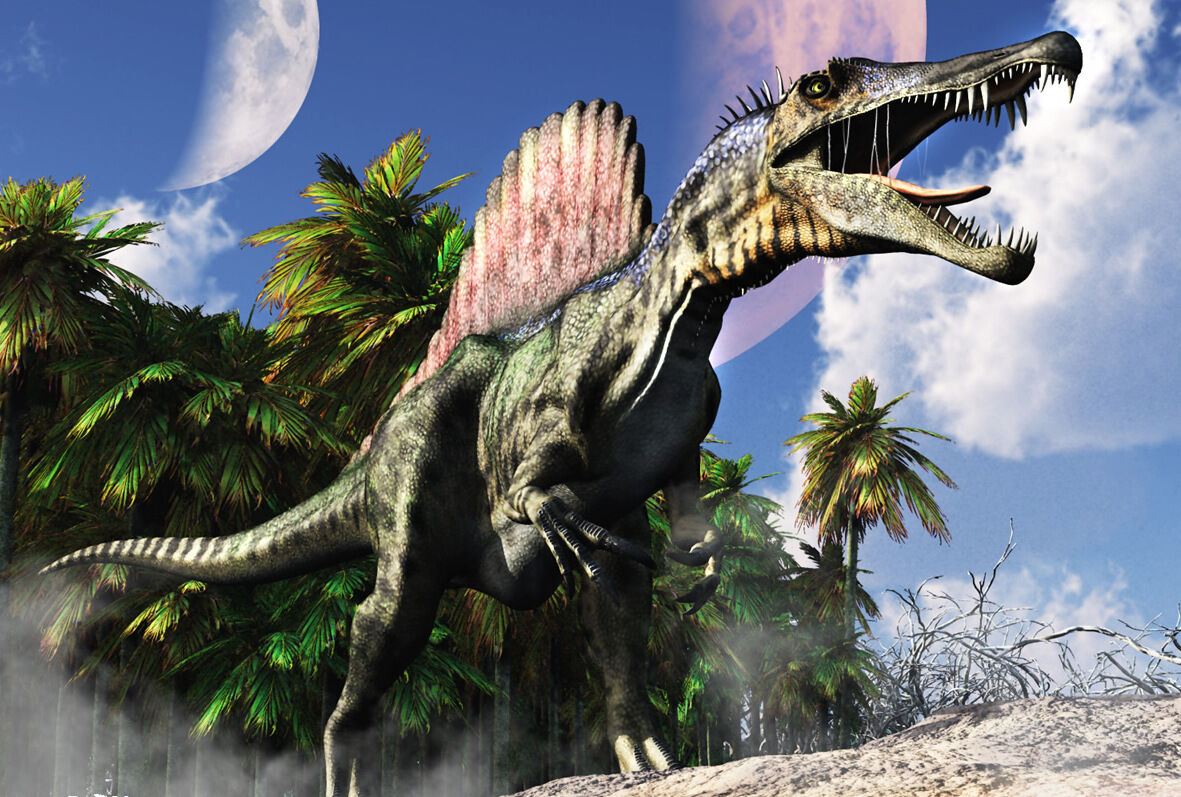 Do Dinos Soar?