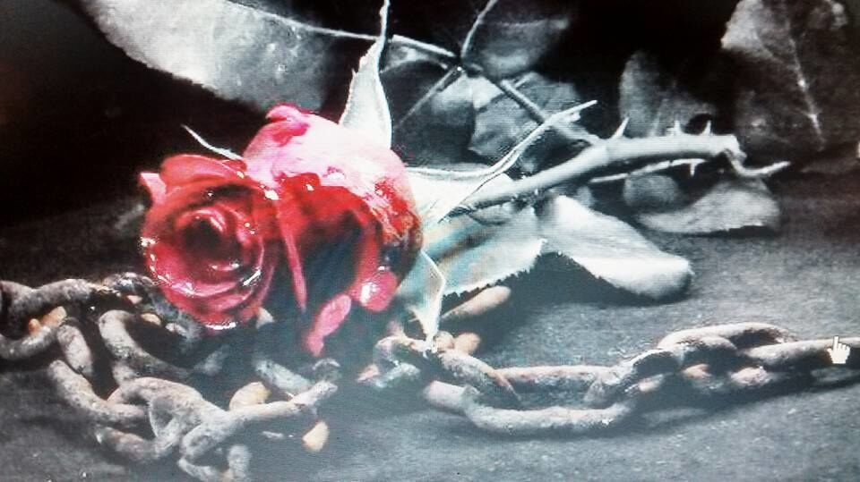 LOVE FOR NOW I CAN NOT GIVE
