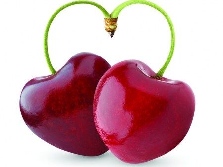 Seeds Of Love