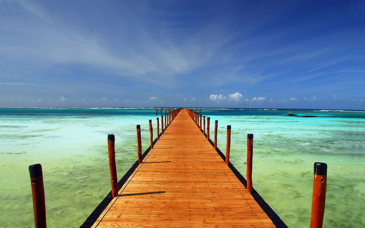 Towards The Horizon