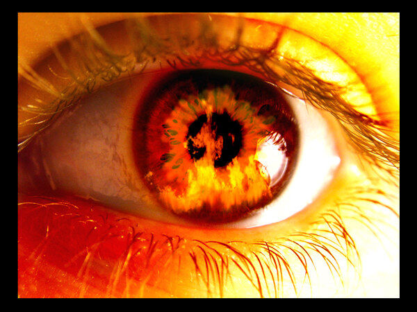 Fire of Desire