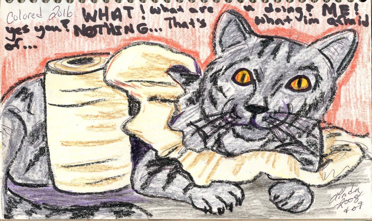 bad kitty