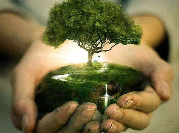 Each Generation Plants A Tree