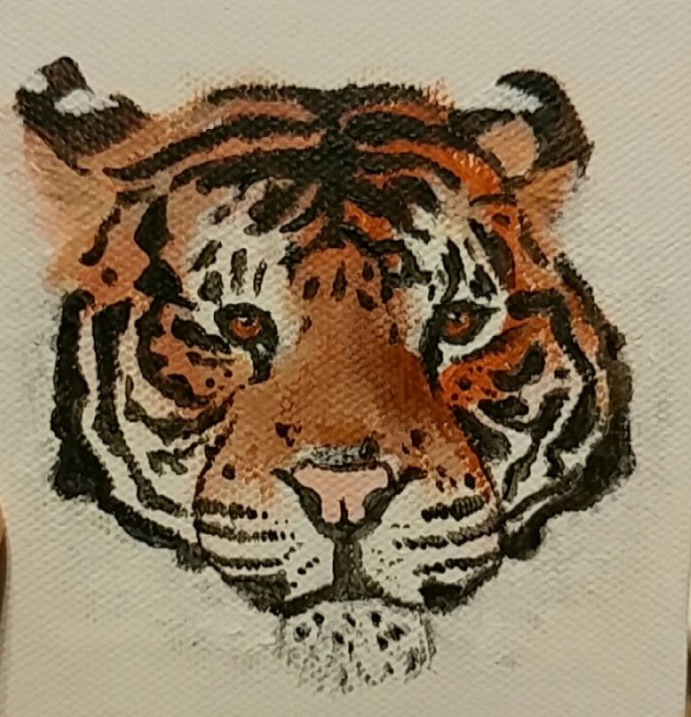 Bengal Tiger