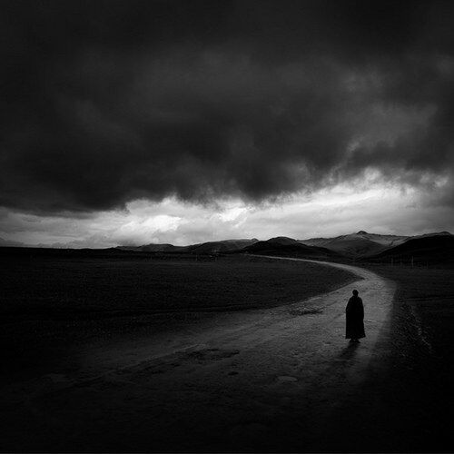 By the Wayside