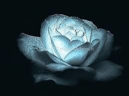 Heart of Ice
