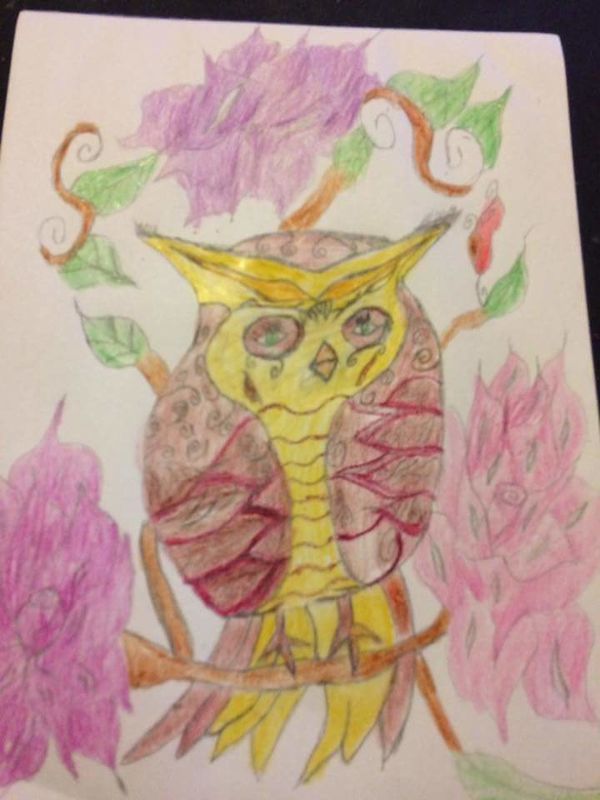 Love for owls