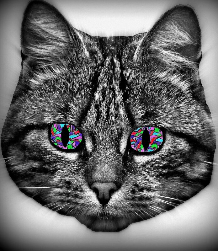 Nero - the Ecstasy cat