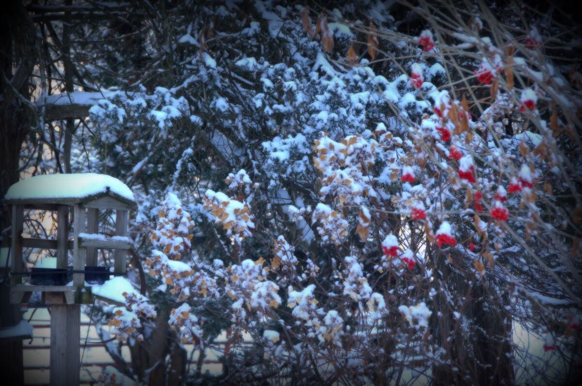 It’s all up to you Christmas
