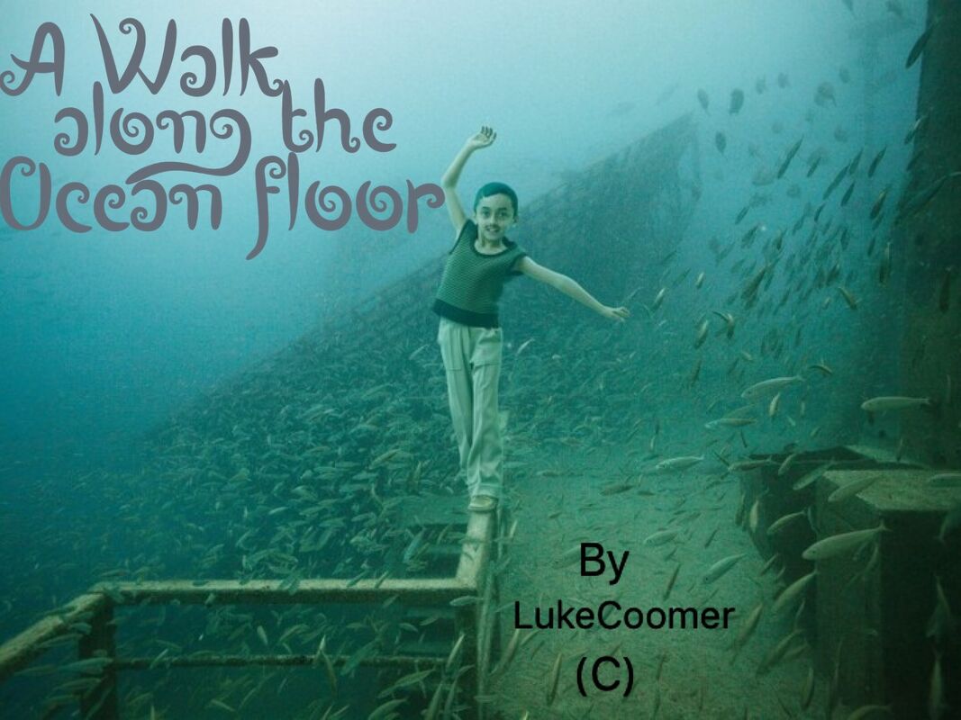 A walk Along The Ocean Floor