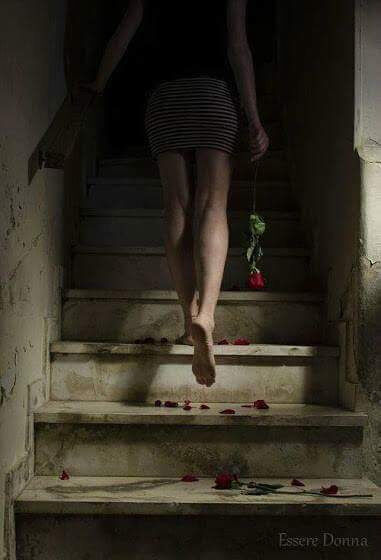 Petals on the stairway