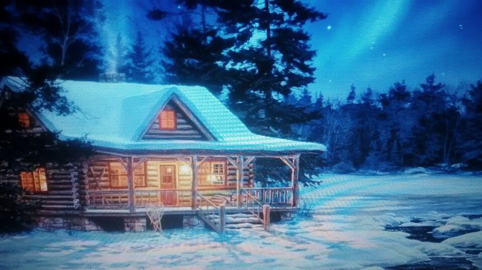 THE CABIN IN THE WOODS