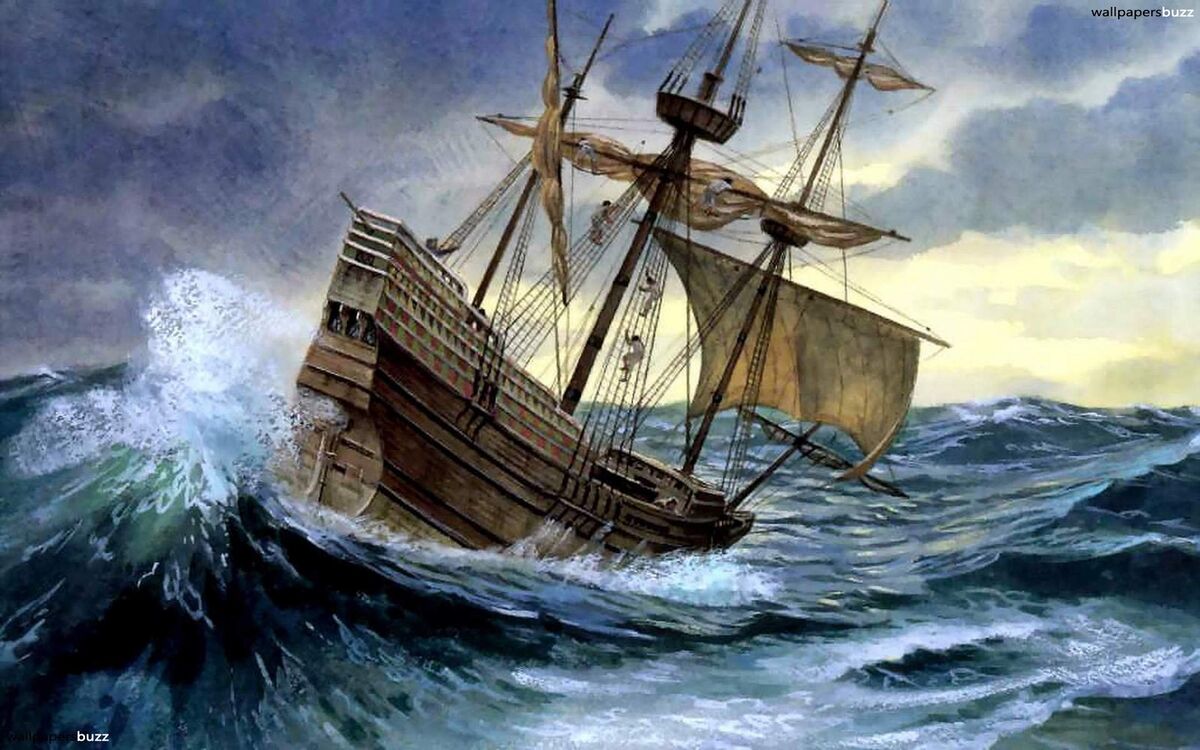 The Boat
