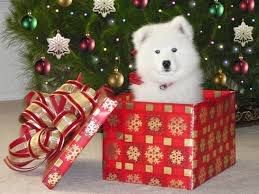 HOW I ENDED UP AT THE NORTH POLE HOW I ENDED UP AT THE NORTH POLE
