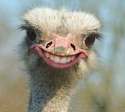 Smile Smile Smile