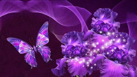 The purple butterfly 