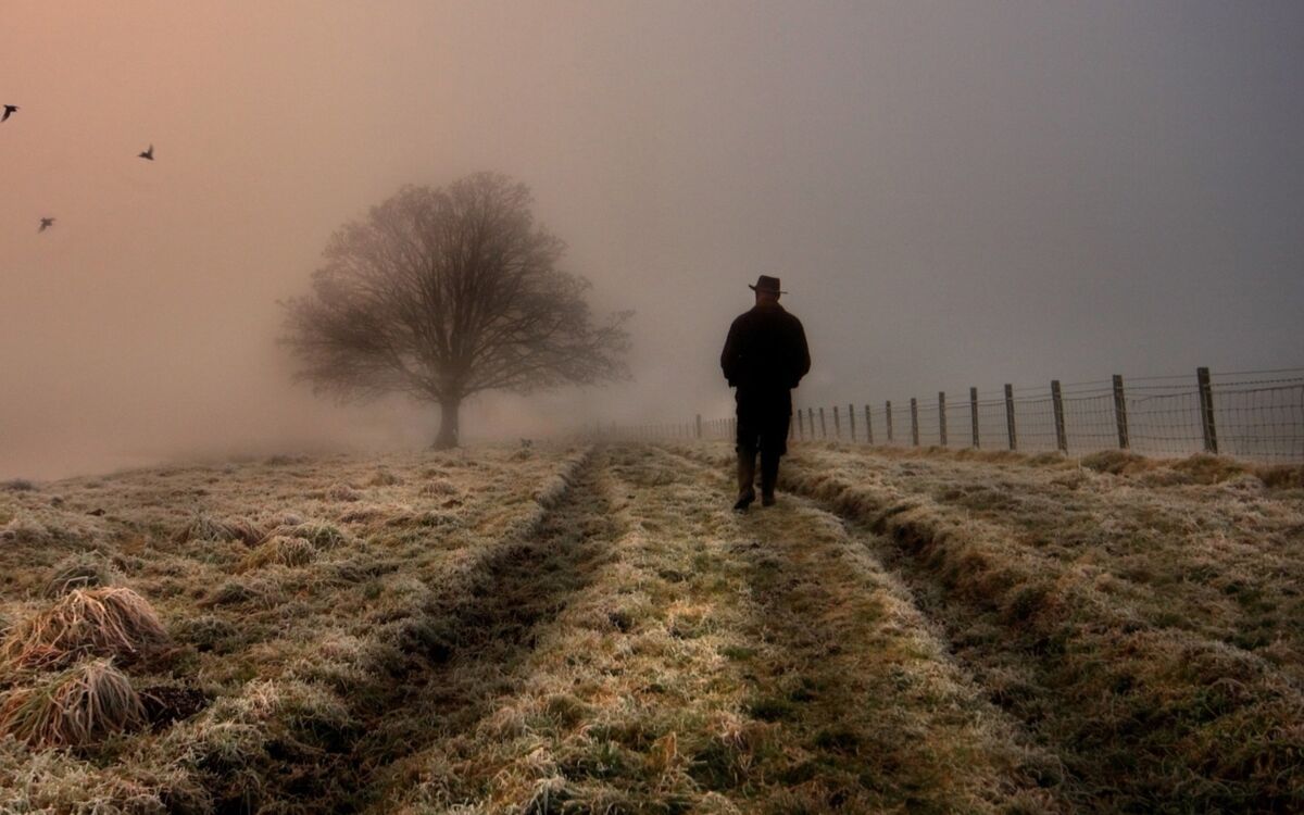 The Forlorn Road of Many Steps 