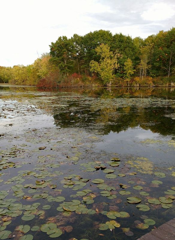 Cottage Country